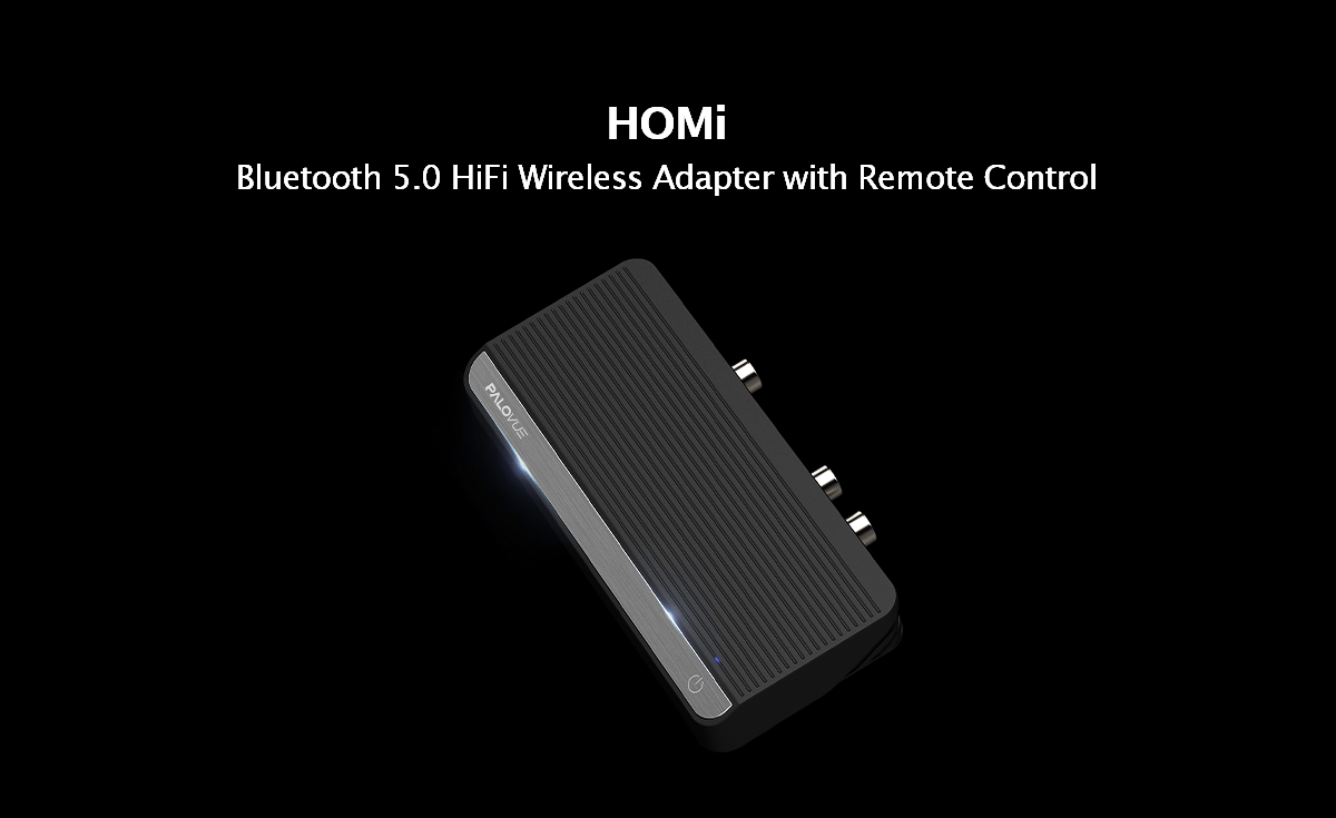 PaloVue HOMi Bluetooth 5.0 audio receiver for home stereo